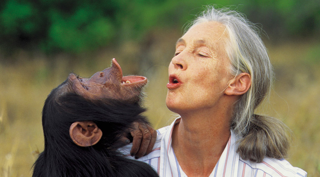 Amit az emberek tesznek, az valóban változást hoz a világba – Interjú Jane Goodall-lal