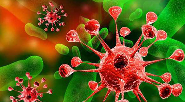 Vírusokról, baktériumokról